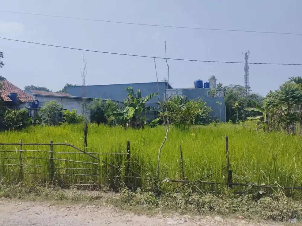 Tanah Kavling di Dekat Kantor Kelurahan Sasak Panjang