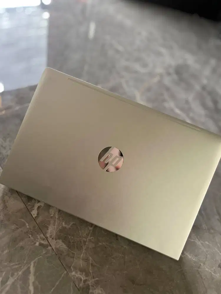 HP PROBOOK 445 G8
