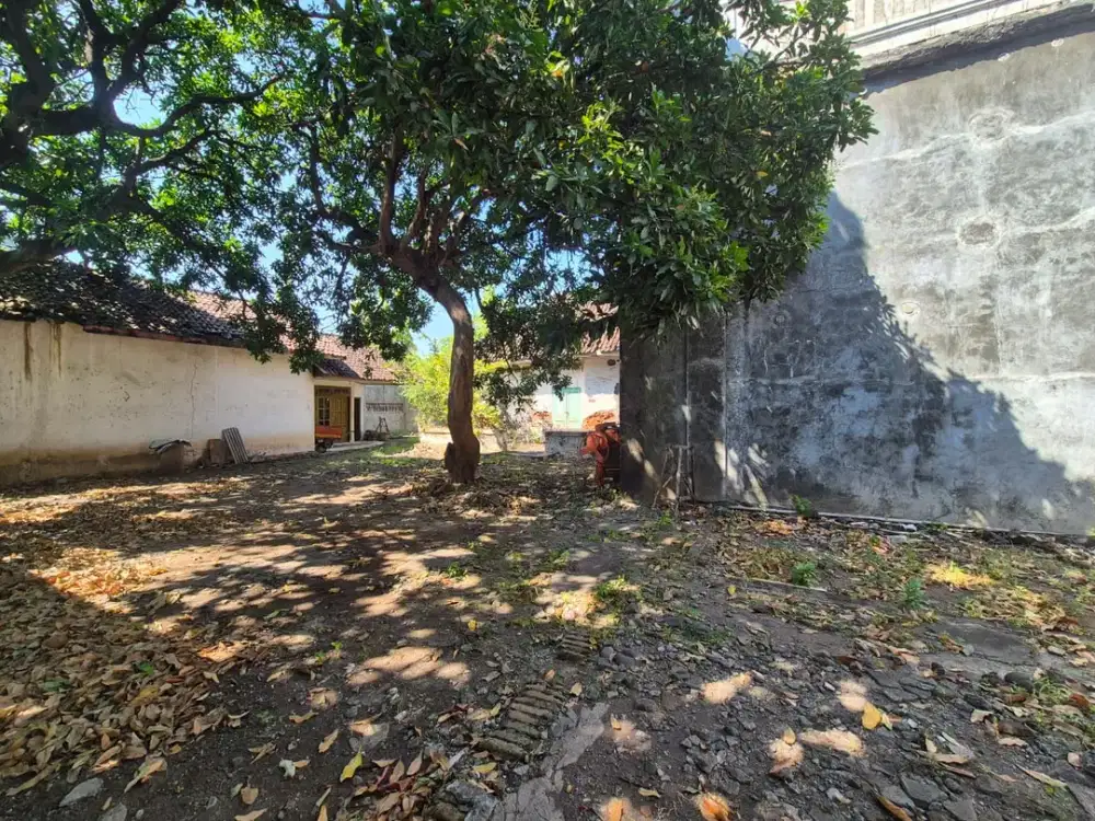 Disewakan Rumah Usaha di Basuki Rahmad Probolinggo
