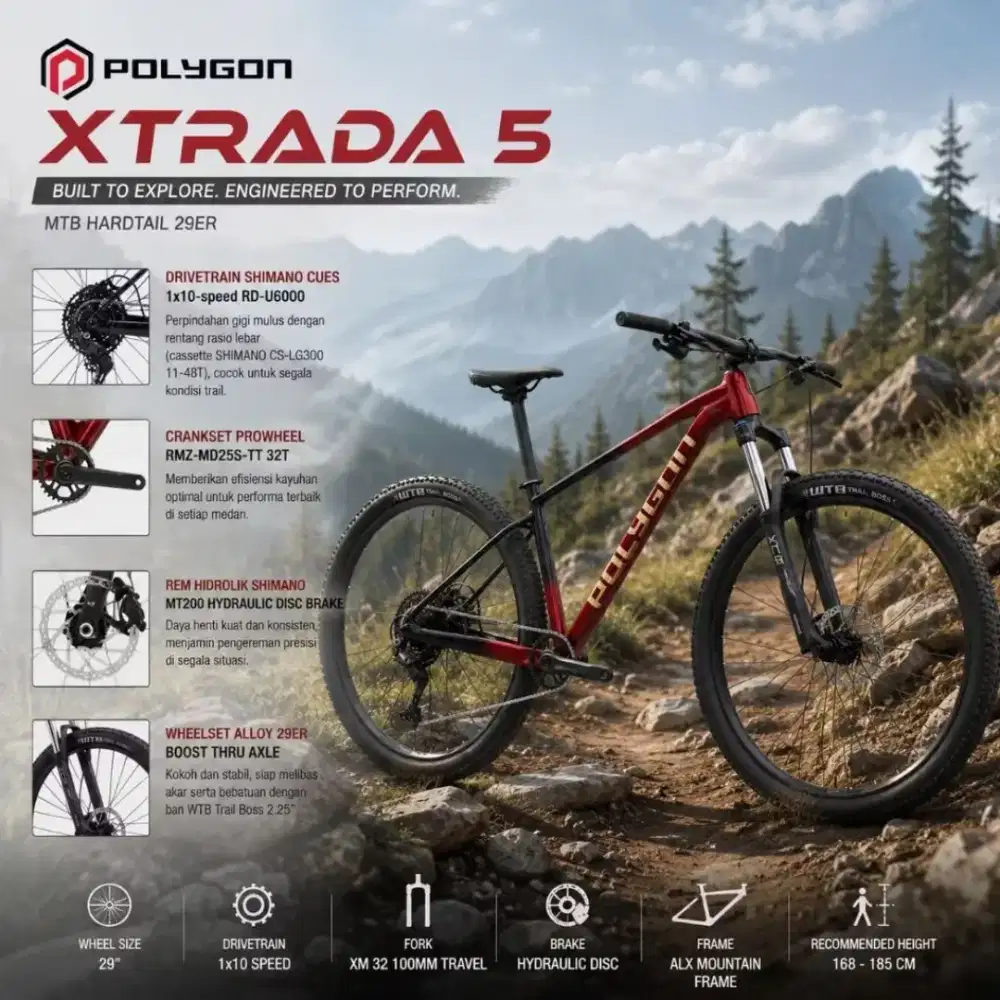 Xtrada 5 2026 New