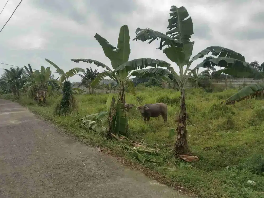 Tanah di jual buat Villa sejuk di caringin bogor selatan SHM