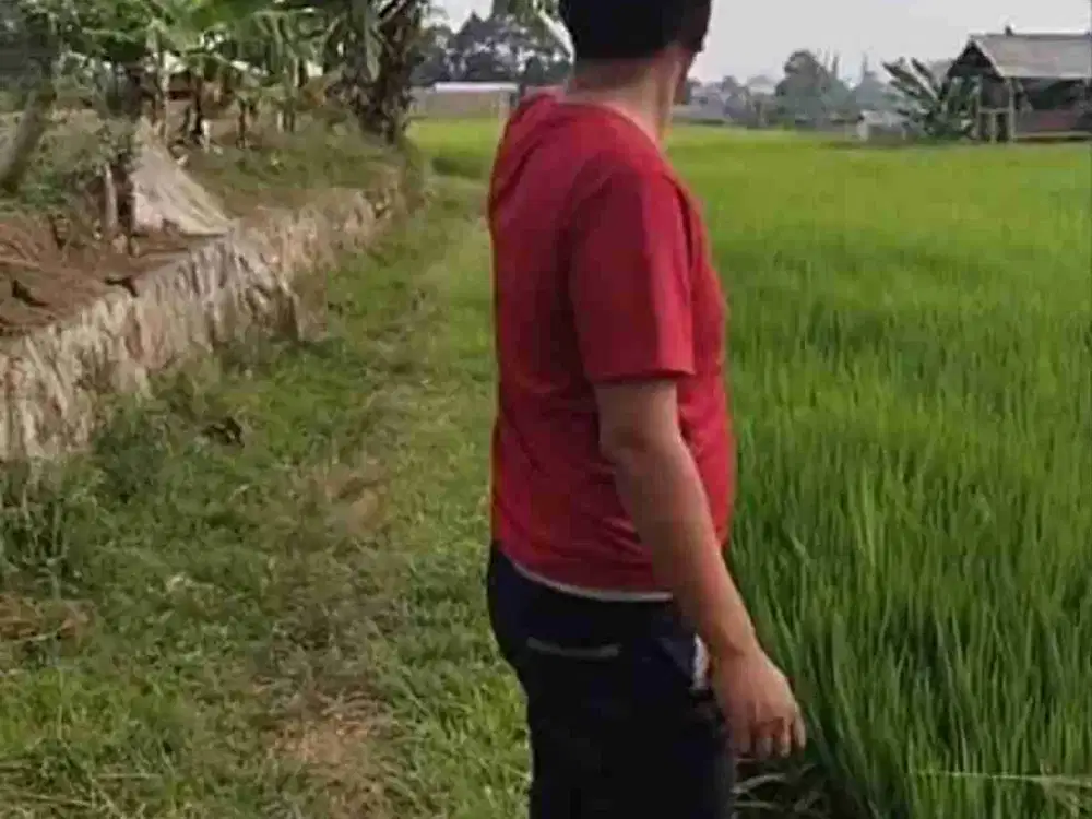 Lokasi buat Villa d jual cepat Murah d puncak bogor Mega mendung