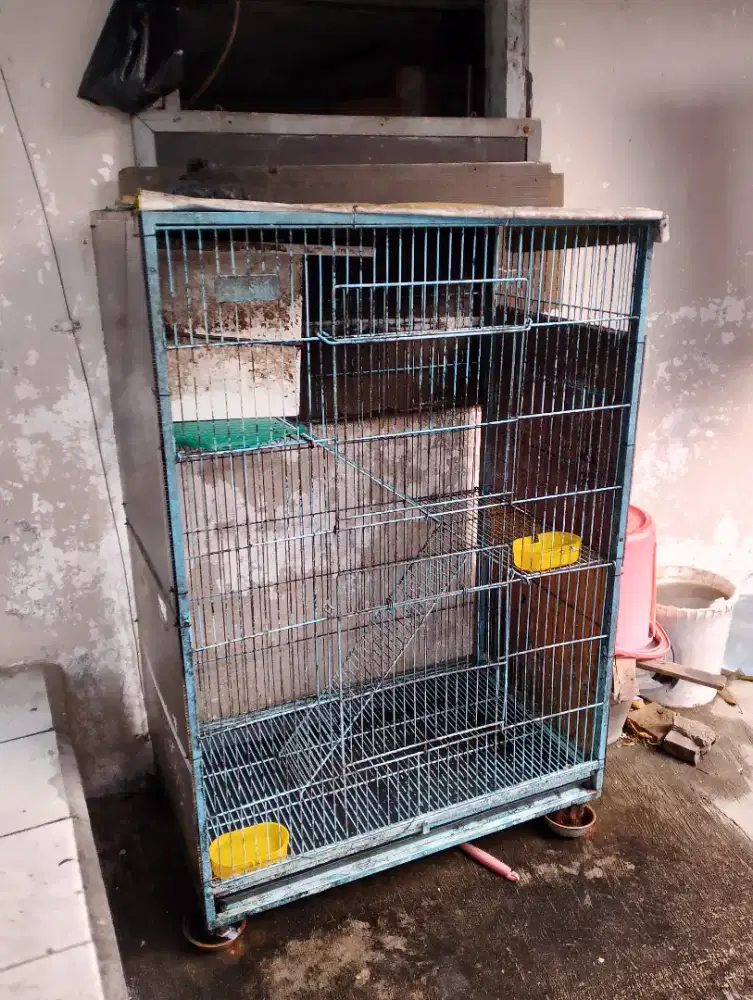 Kandang kucing bekas