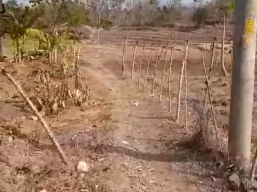 Dijual murah  tanah beserta isinya di  Genjah Entog, kota Garut