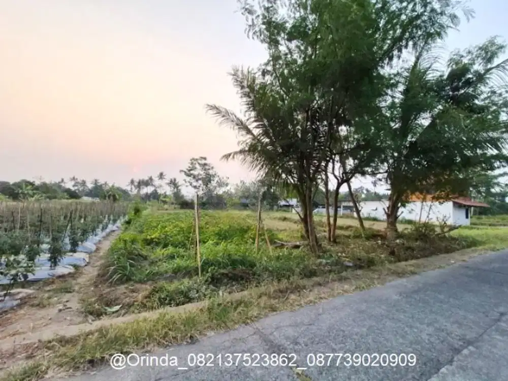 LT 2198 LD25 JL KALIURANG KM 13 TANAH SAWAH DEKAT KAMPUS UII TERPADU, KLIDON, JL BESI JANGKANG, CANDI, PANDANARAN, PAMUNGKAS COCOK PERUMAHAN, VILLA