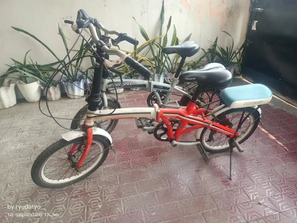 Jual sepeda lipat new Phoenix dan Evergreen