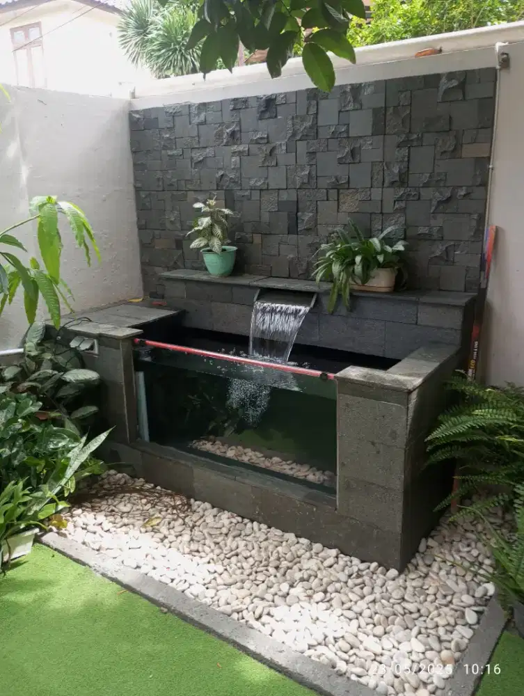 Kolam ikan koi dan filter