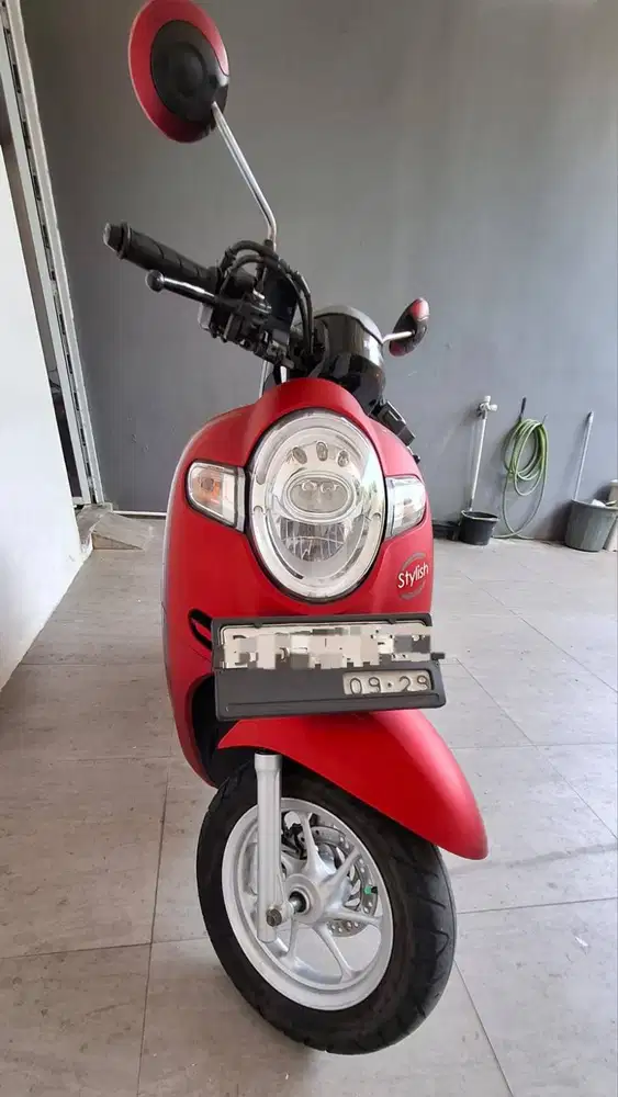 Scoopy mulus no PR
