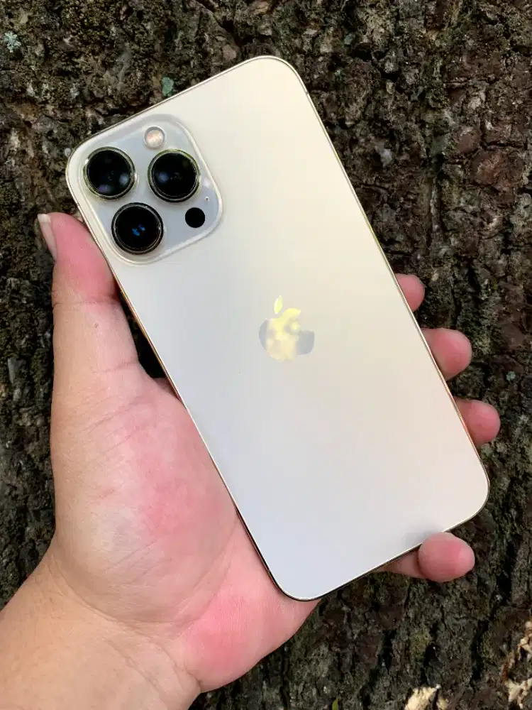 iPhone 13Pro Max 256gb iBox