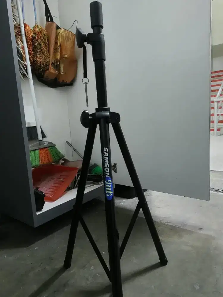 Standing speaker
