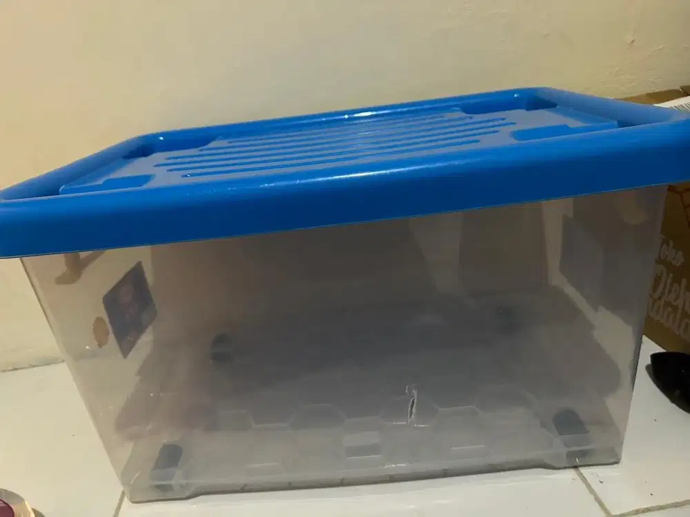 Container box kecil
