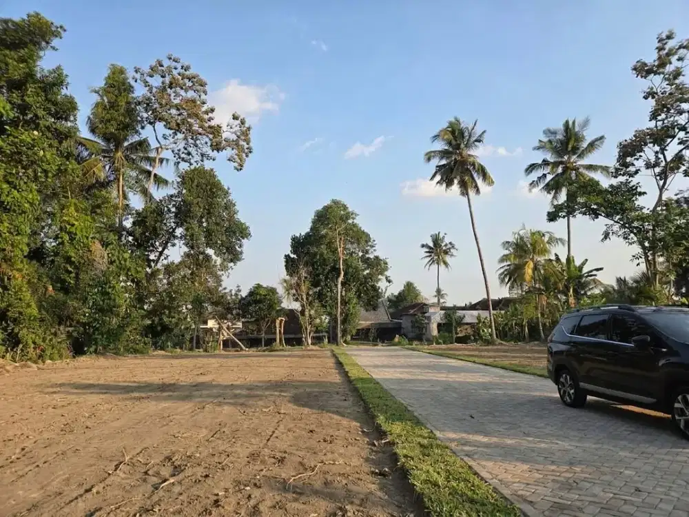 Tanah Pecah sertifikat di Area Kelurahan Umbulmartani, Belakang Kampus UII, Jakal KM 14,5, Sleman.