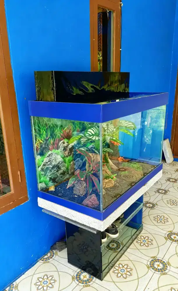 Aquarium second mulus