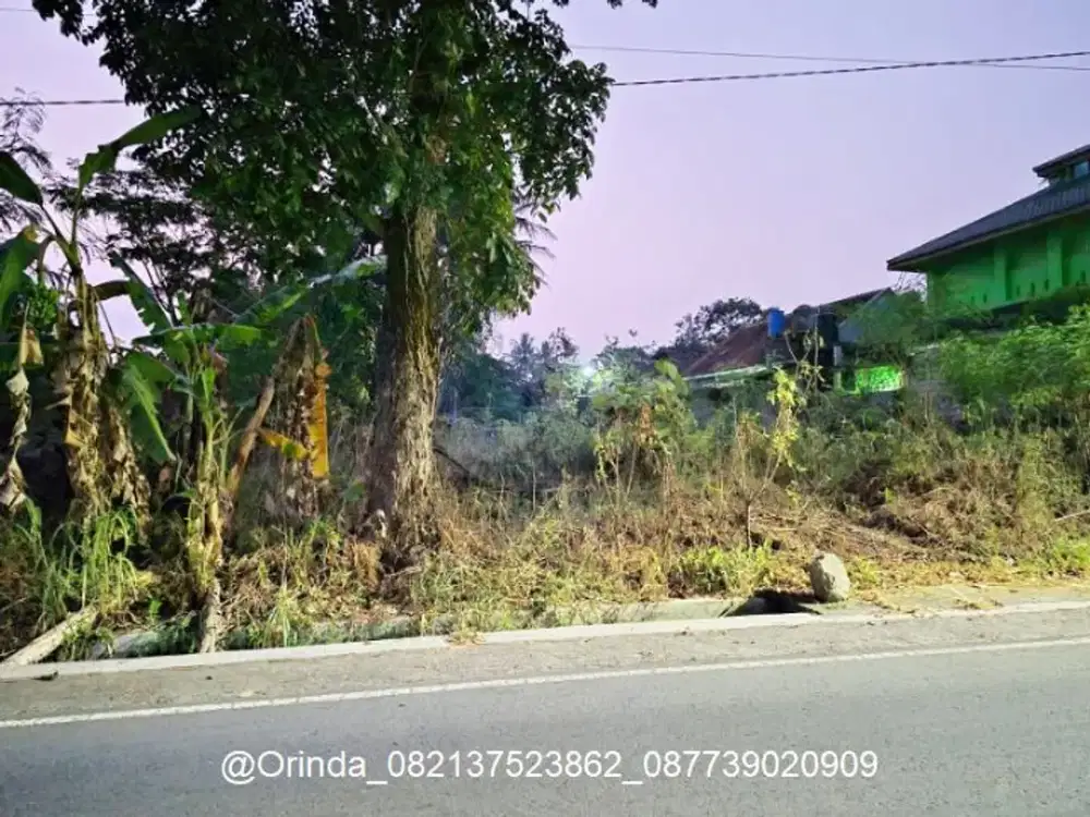 LT 593 LD22 DEKAT MASJID JL KALIURANG KM 13 DEKAT KAMPUS UII TERPADU JAKAL, CANDI, PANDANARAN, DEGOLAN, PAMUNGKAS, COCOK RUMAH VILLA HOMESTAY PENSIUN