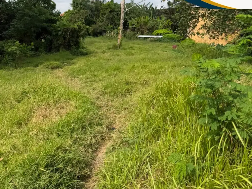 Di SEWAKAN Tanah Kosong Los Sungai Kawasan Villa Lokasi