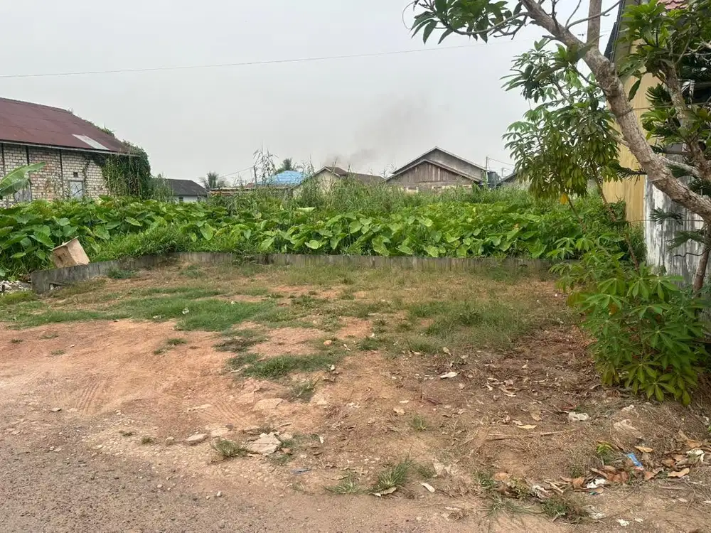 JUAL CEPAT SEBIDANG TANAH DI TENGAH KOTA BANJARMASIN