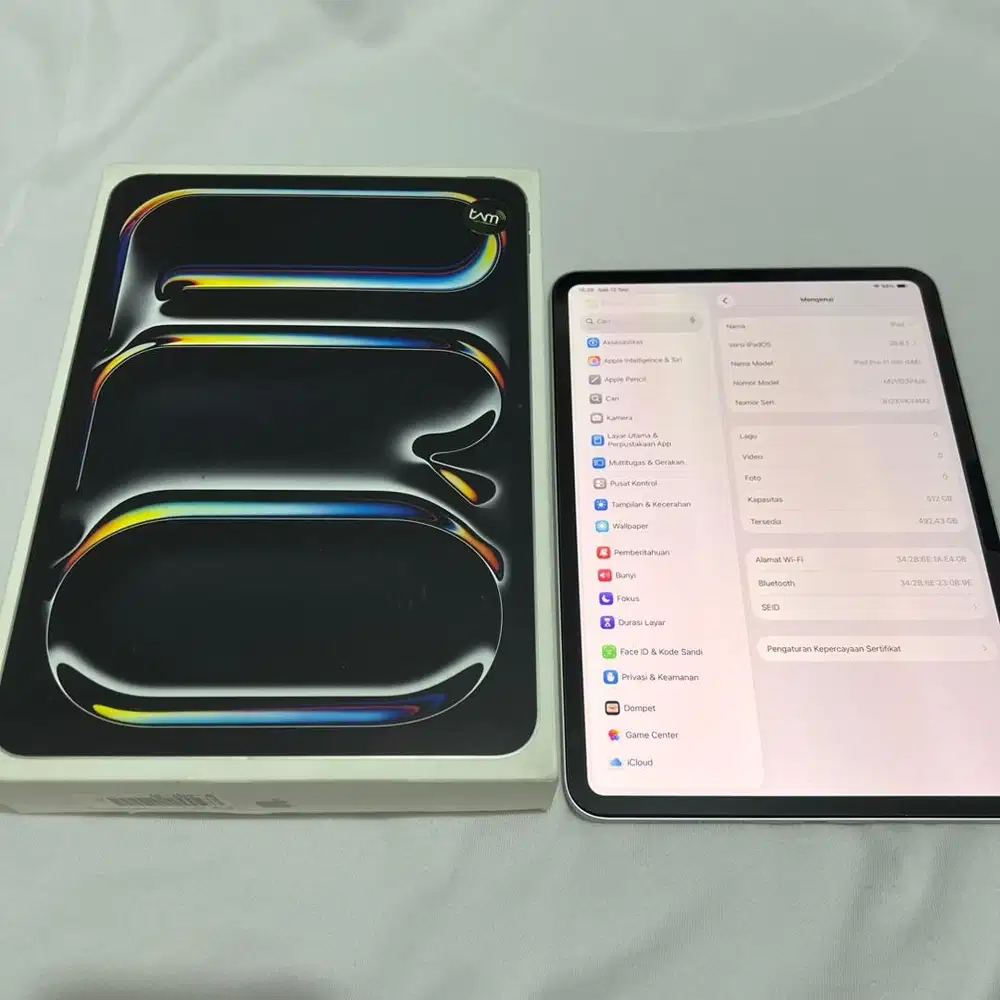 Ipad Pro M4 512Gb 11 inch Silver Wifi Only Ex Ibox Likenew