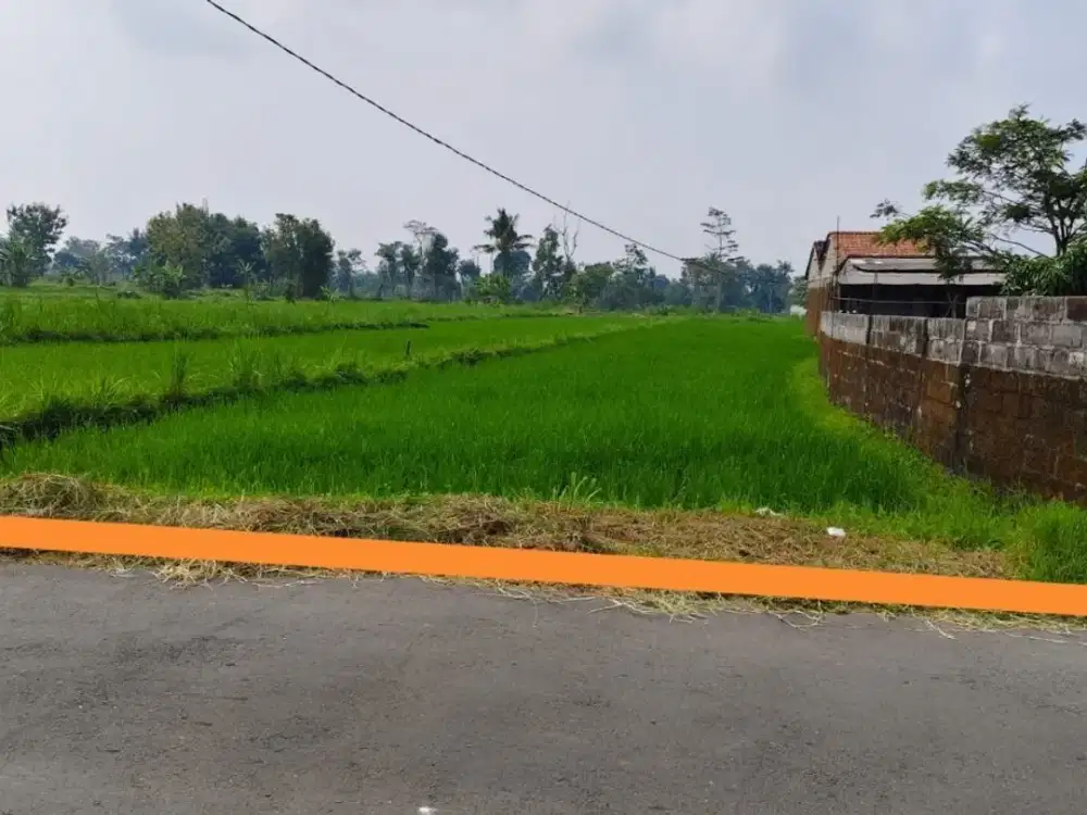 Tanah Sawah Dekat Jalan Kaliurang Jogja