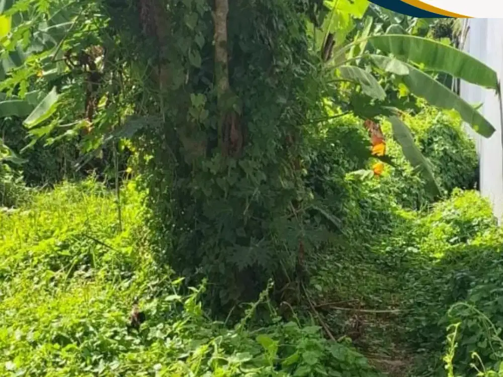 DI JUAL TANAH PINGGIR JLN UTAMA / COCOK UNTUK SEGALA JENIS USAHA