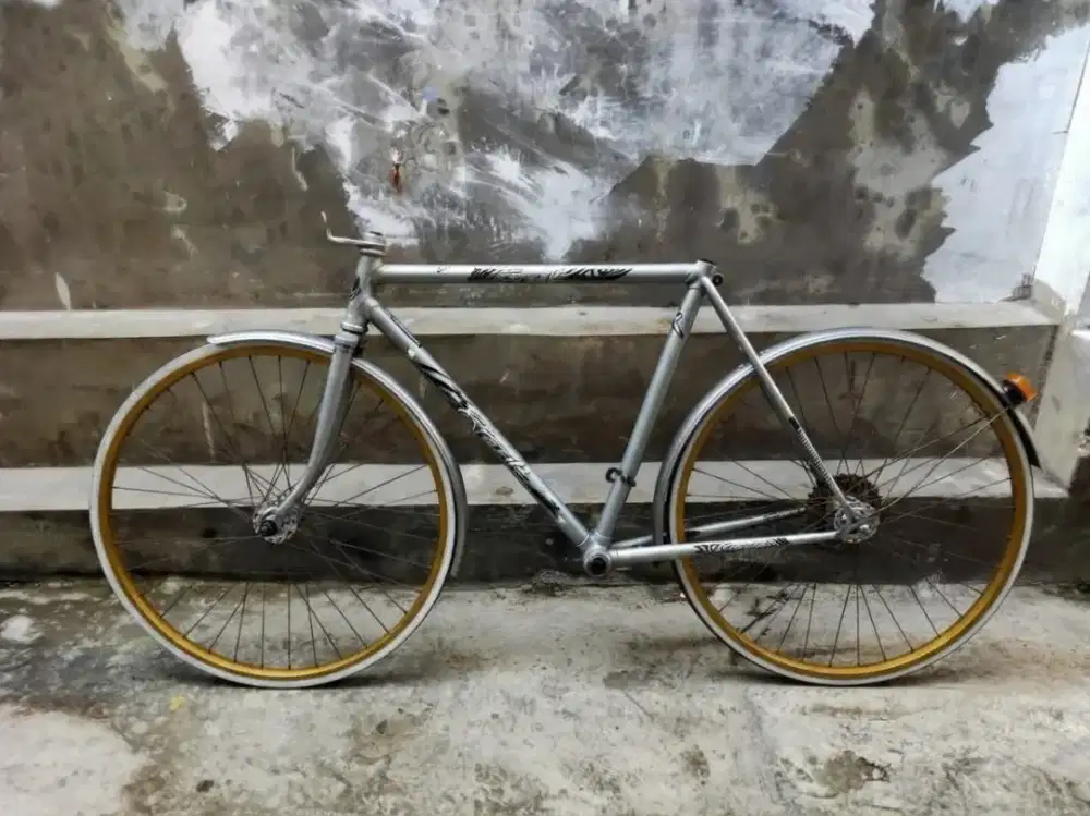 Frameset Golden Eagle