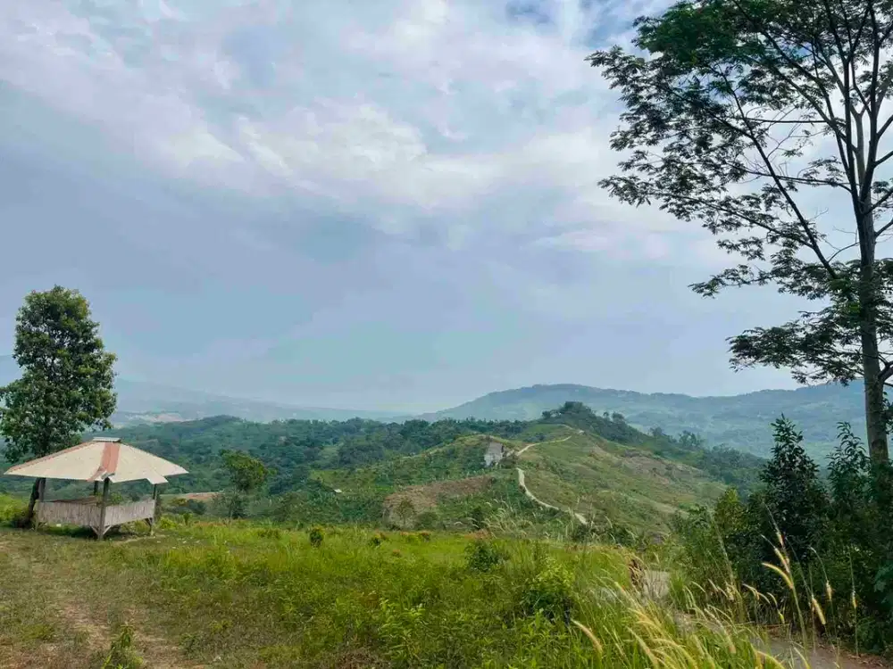 Jual tanah murah View Cantik Gunung Surat SHM di sukamakmur bogor timur