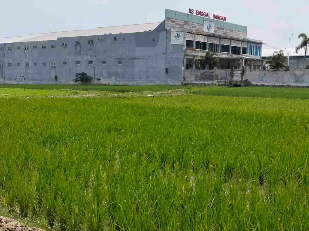 Tanah Raya Bamban Asrikaton Pakis Malang