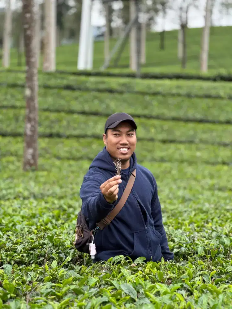 Cari freelance yang bisa di kerjakan siang atau nggak harus ke kantor