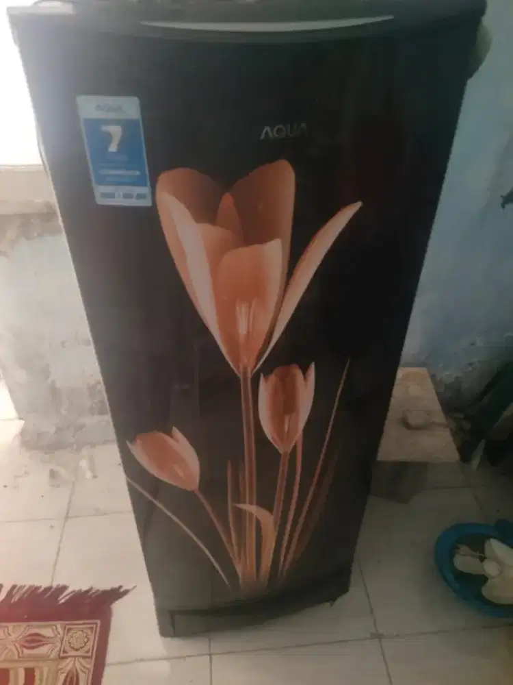 Kulkas Aqua 1 pintu normal