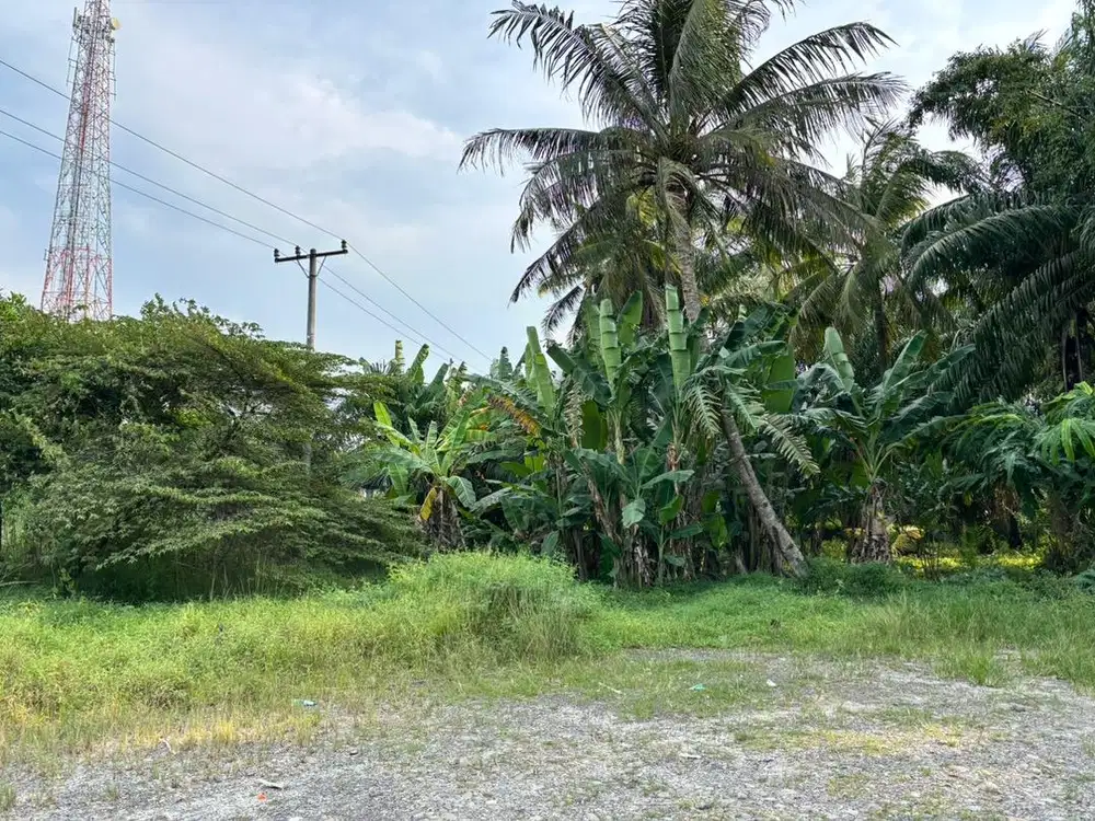 DIJUAL TANAH STRATEGIS - DELI SERDANG