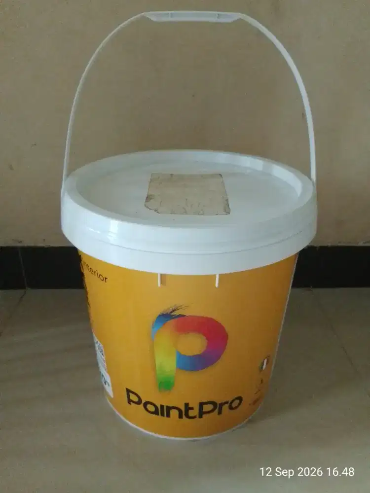 Cat Tembok Paintpro 20Kg Segel Baru