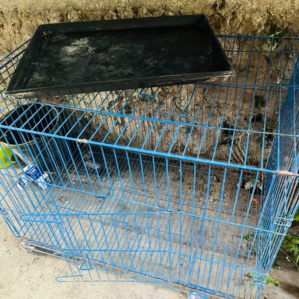 Tempat kurung kucing