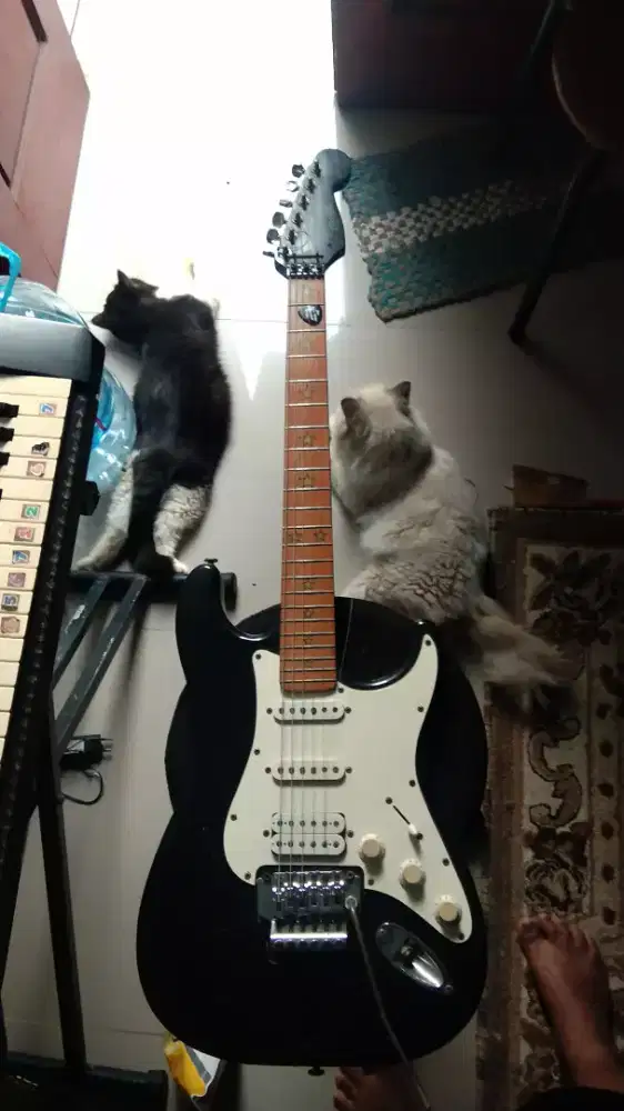 Guitar Stratocaster HQ