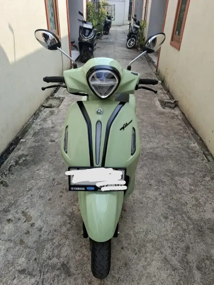 For Sale!!! Grand Filano Hybrid Neo (Green Glossy)