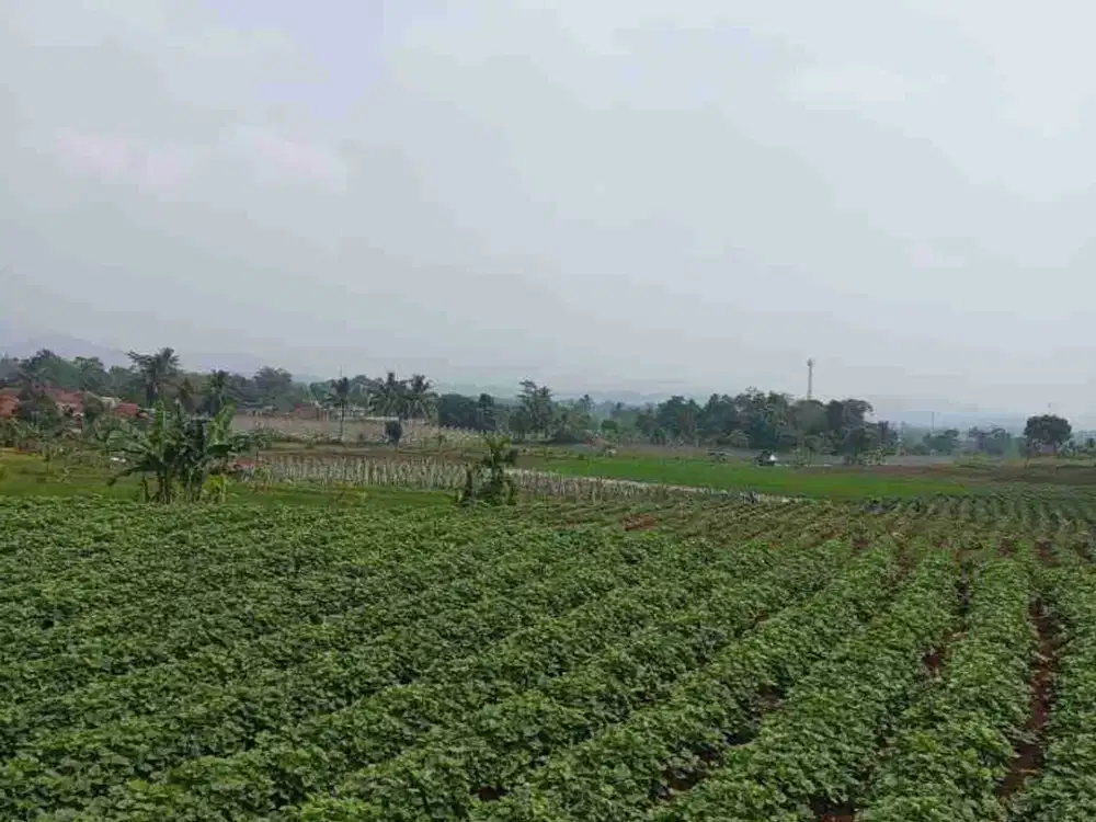 Lokasi Buat Investasi dan Kaplingan Di pamijahan Bogor barat