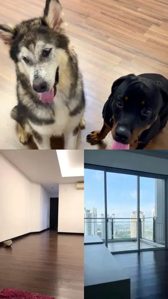 Kennel boy dan ART bersih-bersih Part-time