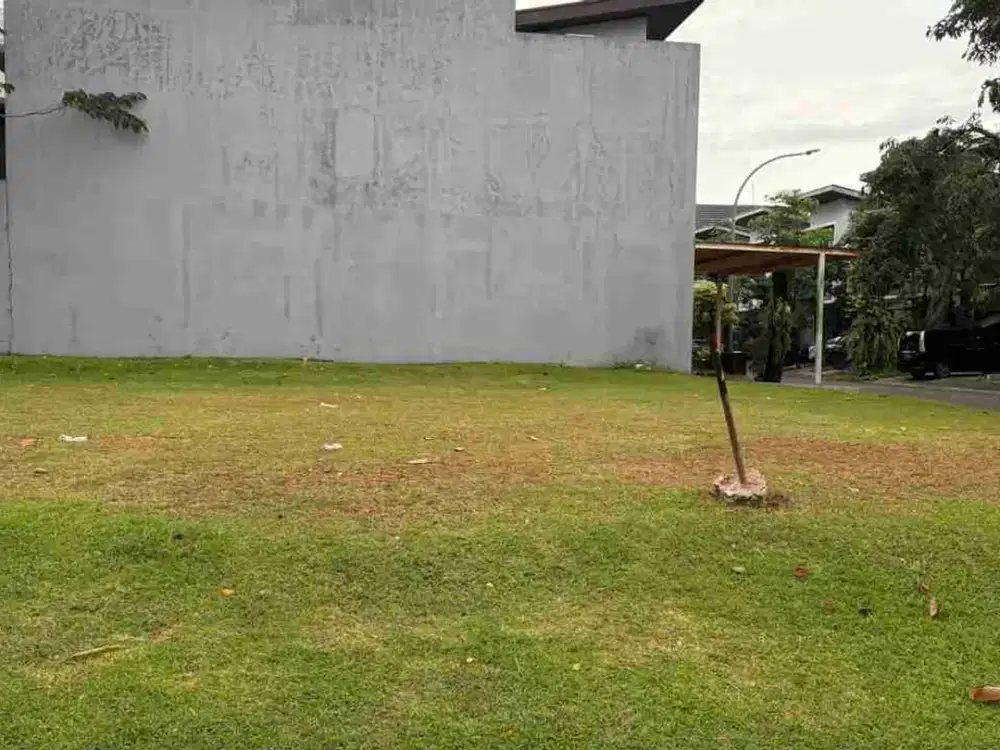 avani Kav. Hook yg bagus