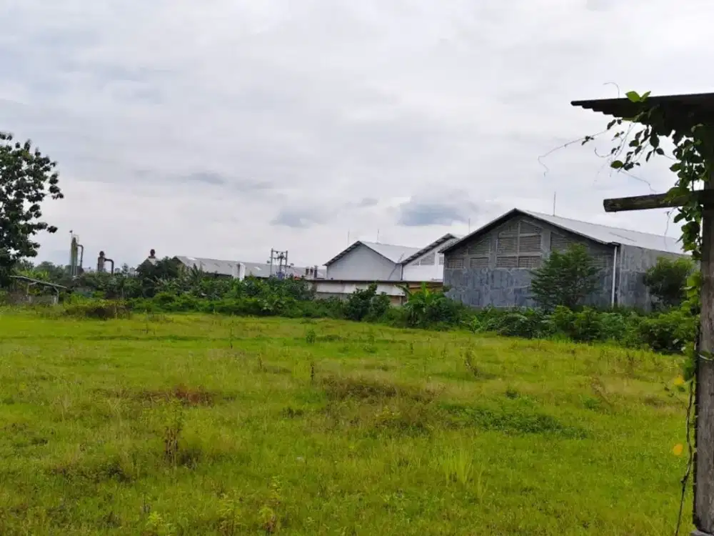 Tanah Pekarangan Cocok Untuk Perumahan atau Gudang