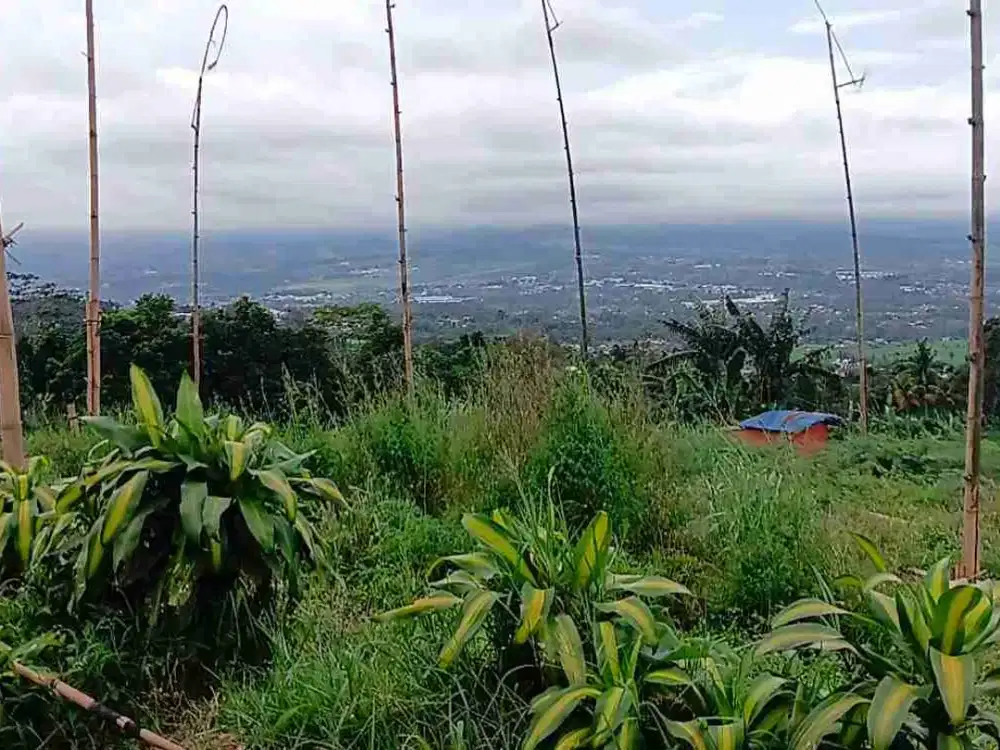 Lokasi Buat Investasi & pertanian juga Kaplingan Villa d cigombong bogor selatan