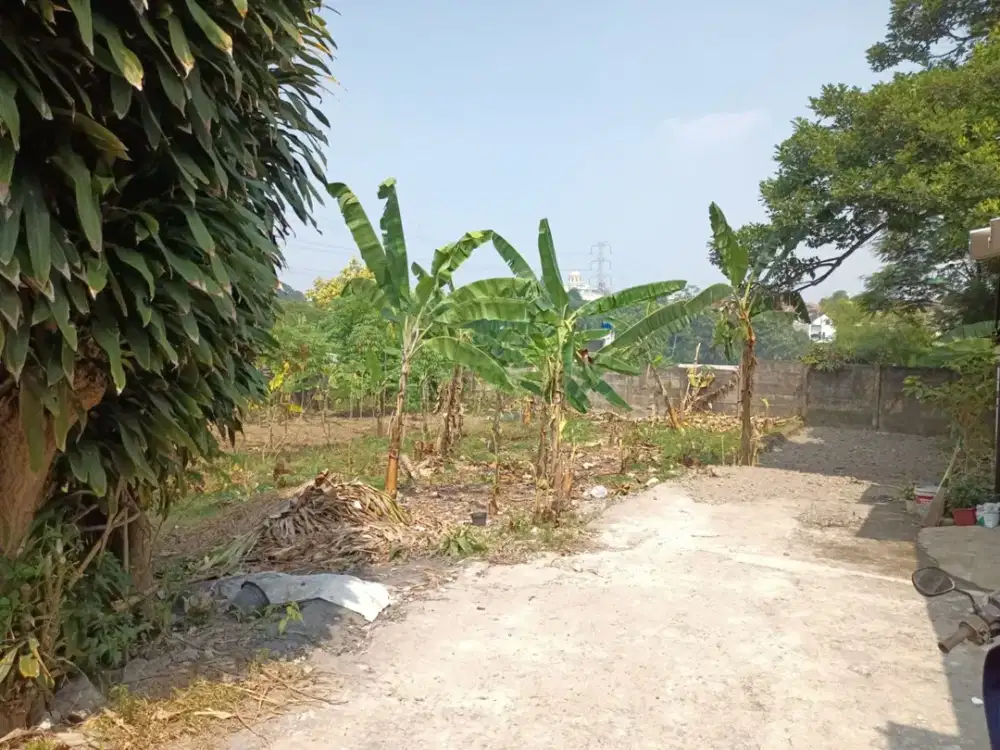 Dijual Tanah Dekat Masjid Kubah Emas Luasan 500Meter