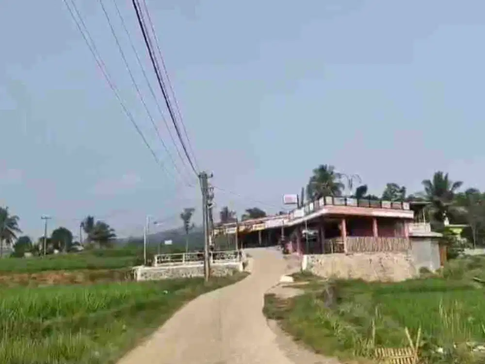 Sawah Asri perkampungan Di jual cepat SHM di Sukajaya bogor timur