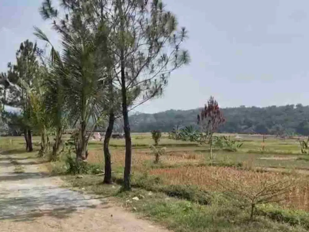 Loksi Nempel sungai cipamingkis di Bogor timur