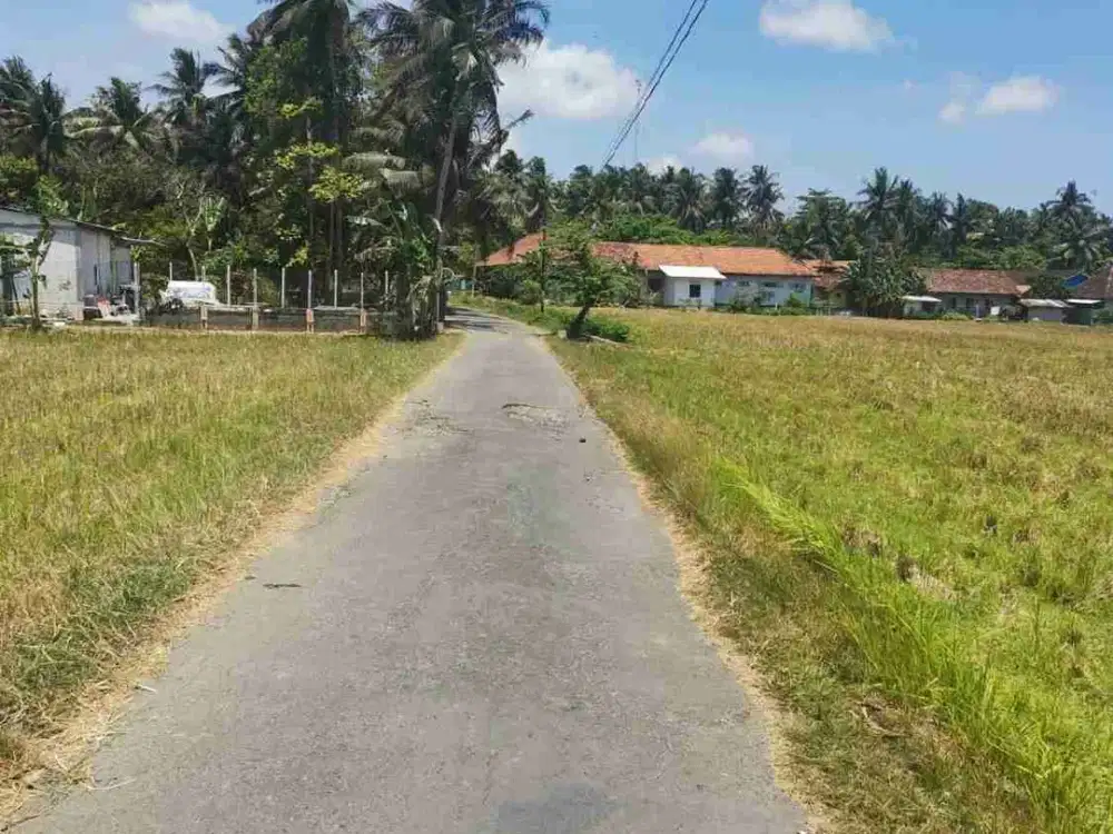 Jual Tanah Murah banget di Outer Ring Road Airport untuk Bisnis 3768m2