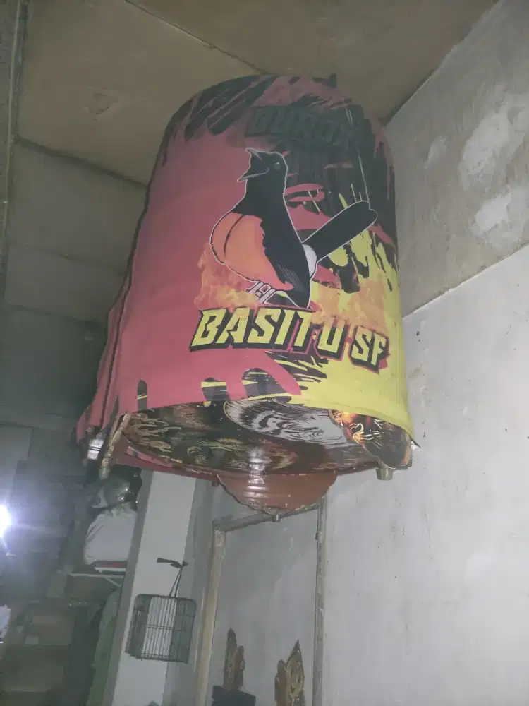 Kandang murai BNR no 2