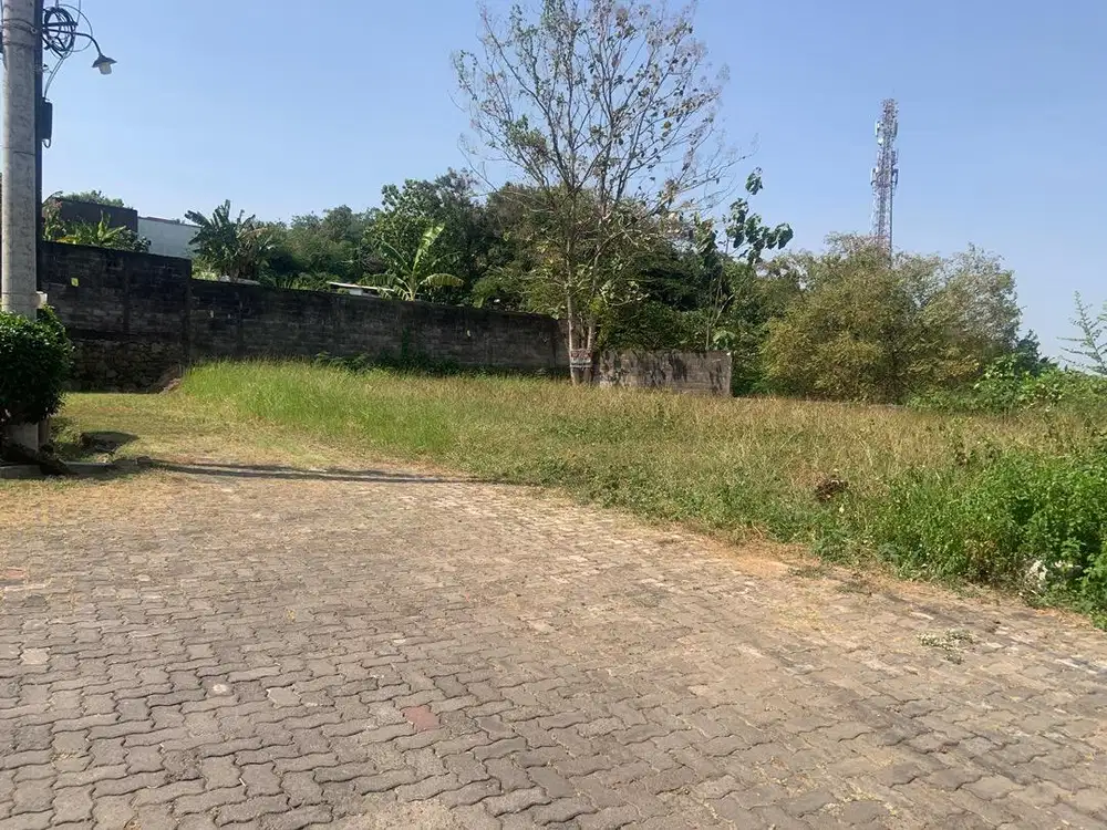 TANAH PEKARANGAN DI ATAS BUKIT JANGLI