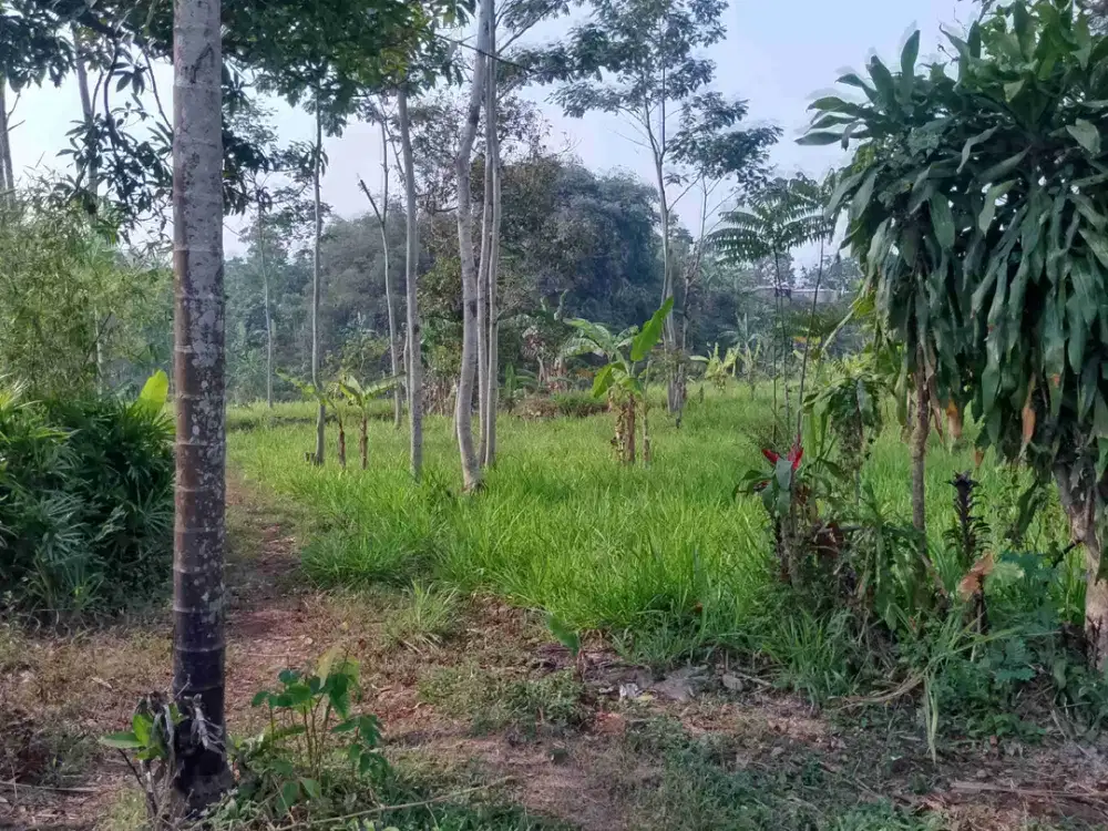 di jual lahan bagus shm akses mobil dekat lido di Cigombong