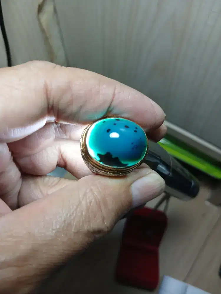 Bacan doko totol ring 9 jumbo