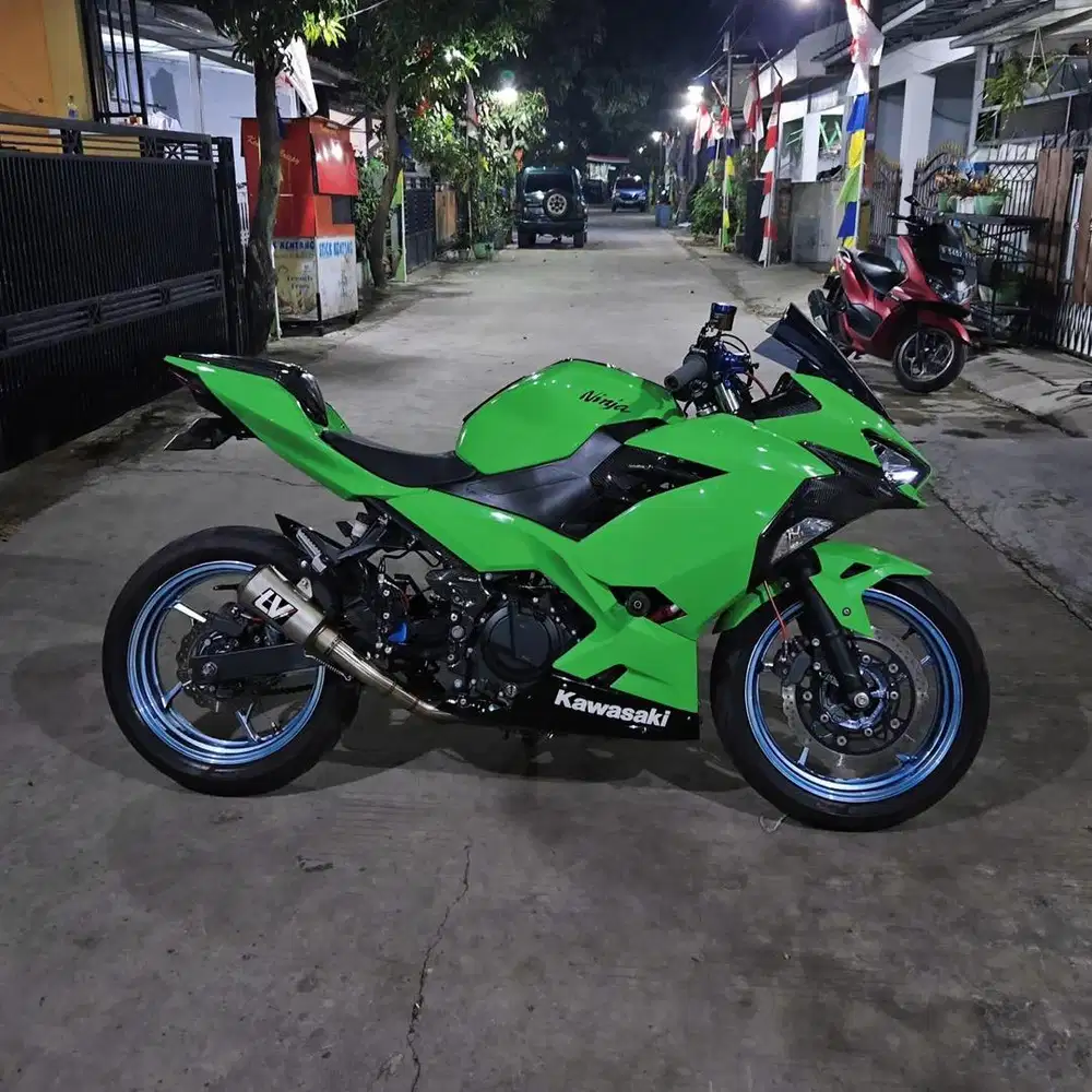 Kawasaki Ninja 250 2019