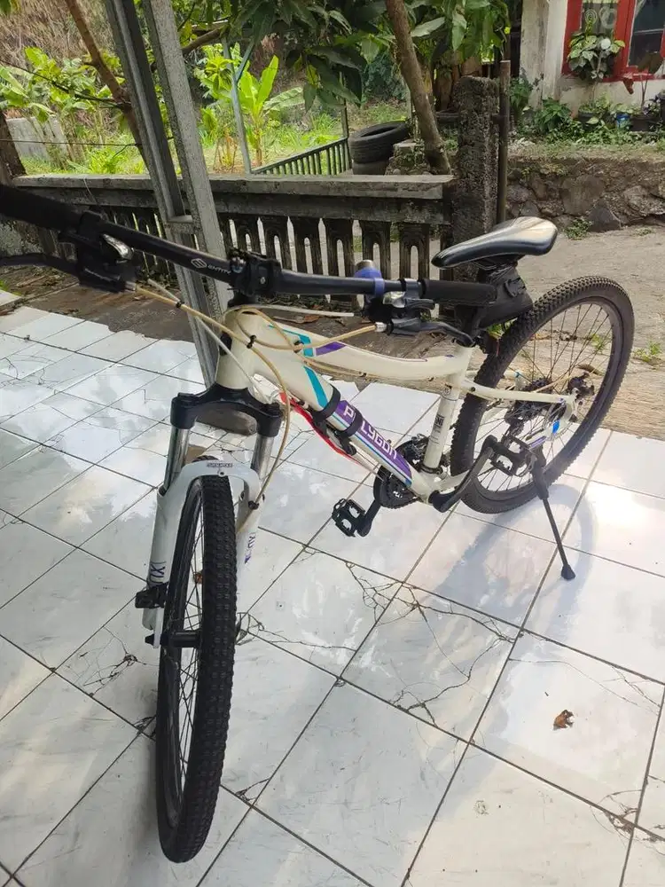 SEPEDA GUNUNG POLYGON CLEO
