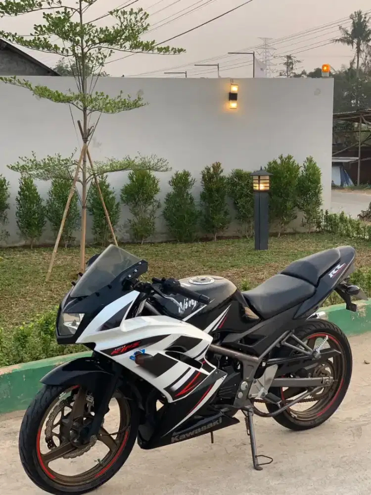 Ninja RR New 2015