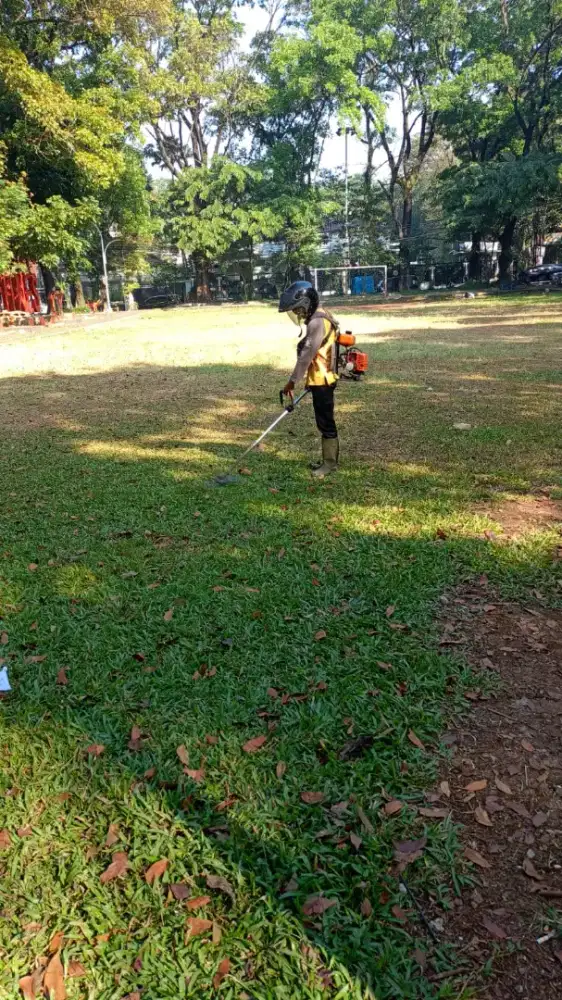 Jasa potong rumput
